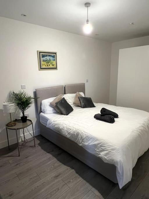 Spacious One Bedroom Apartment Hemel Hempstead Esterno foto