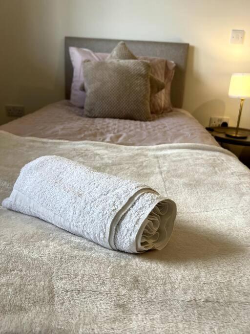 Spacious One Bedroom Apartment Hemel Hempstead Esterno foto